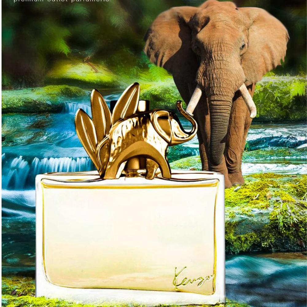 tos-no1a-i-t5fjg24jzw-no/358665bdbb874db49ea4b2f600021385