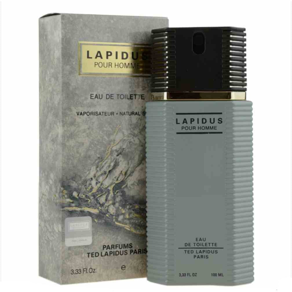Ted Lapidus Lapidus Gris Eau de Toilette Homme Élégante, Parfum Boisé Aromatique Durable