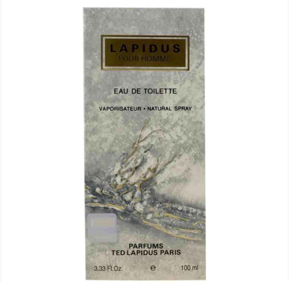 Ted Lapidus Lapidus Gris Eau de Toilette Homme Élégante, Parfum Boisé Aromatique Durable