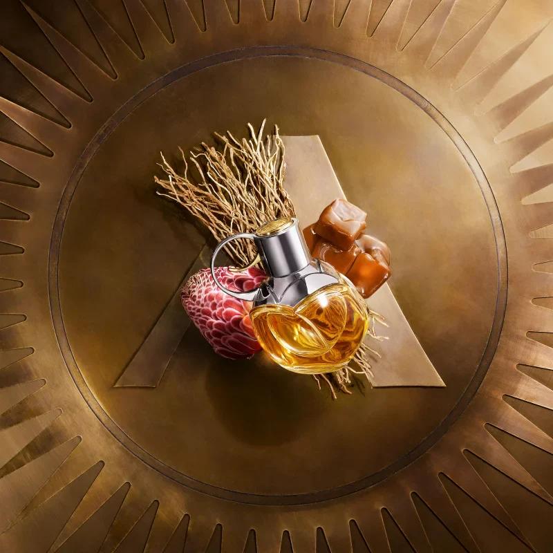 tos-no1a-i-t5fjg24jzw-no/db616fdac31140298ec3513e1f568e18