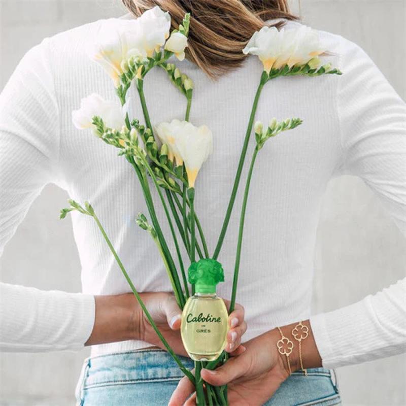 tos-no1a-i-t5fjg24jzw-no/e511f7653664447a8e74cf29a73fb887